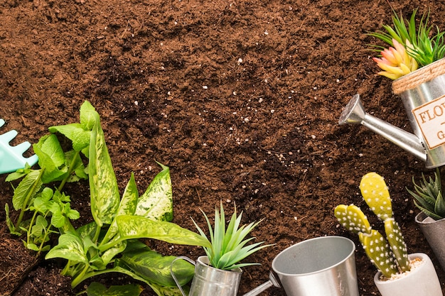 Free photo flat lay of plants and gardening tools with copyspace