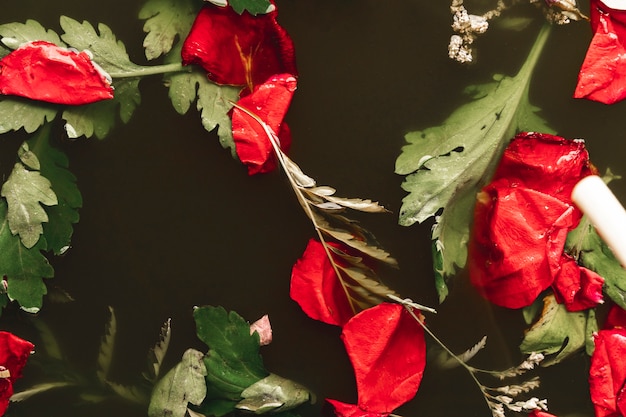 Free photo flat lay red petals in water