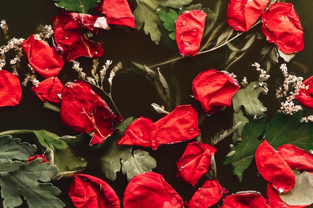 Free photo flat lay red petals with leaves in black water