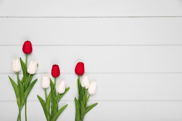 Free photo flat lay red and white tulips on table with copy-space