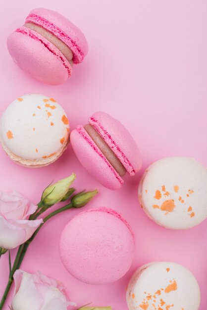 Flat lay of roses with macarons