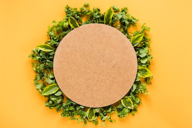 Free Photo flat lay of round paper on leaves