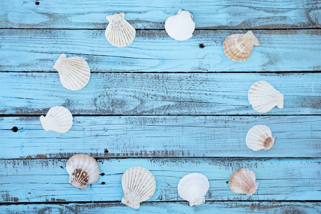 Free Photo flat lay round seashells frame on wooden board 