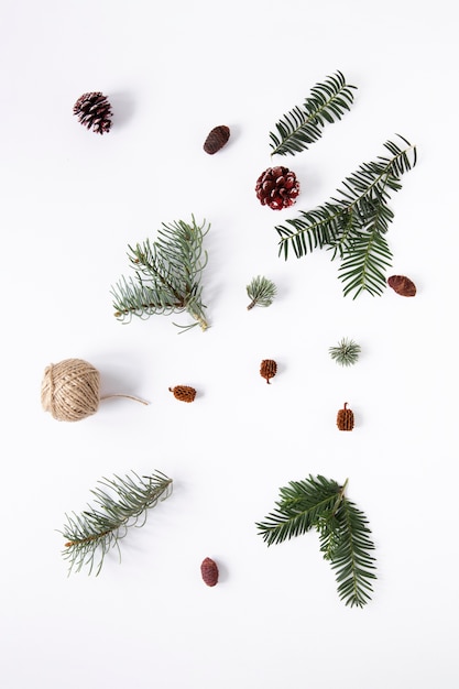 Flat lay seasonal pine leaves on plain background