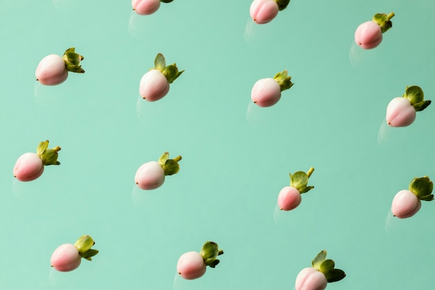 Free Photo flat lay of spring flower buds