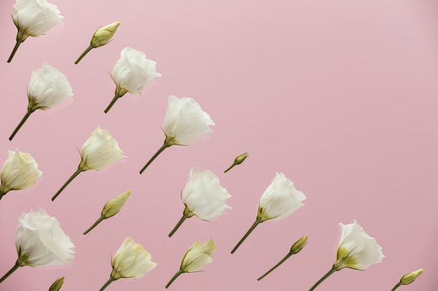 Free photo flat lay of spring roses with copy space