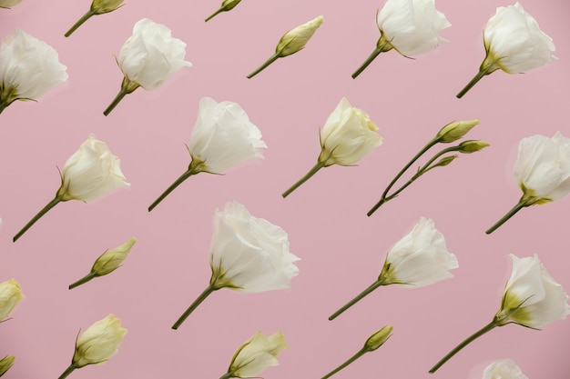 Free Photo flat lay of spring roses