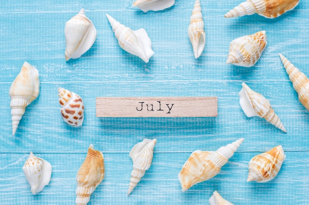 Free photo flat lay summer composition with sea shells