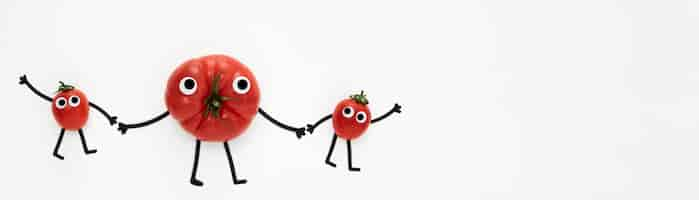 Free photo flat lay tomatoes holding hands