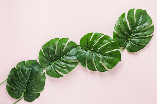 Flat lay of tropical leaves with copyspace