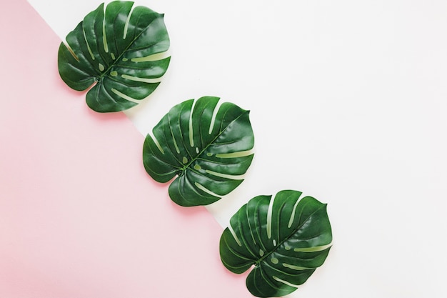 Flat lay of tropical leaves with copyspace