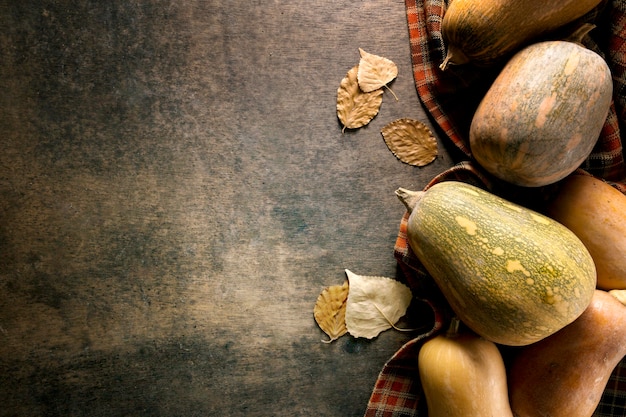 Free photo flat lay of variety of autumn squash with copy space