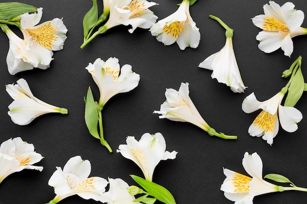 Free photo flat lay white alstroemeria bouquets arrangement