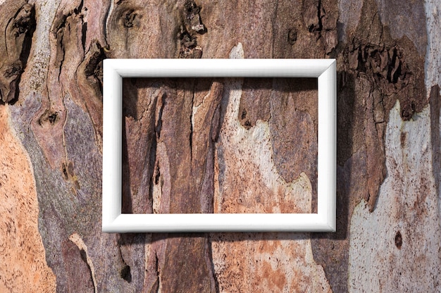 Free Photo flat lay white frame on tree bark