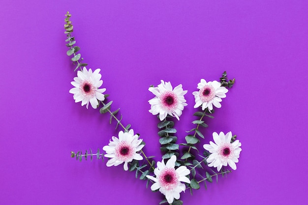 Flat lay white spring flowers with leaves