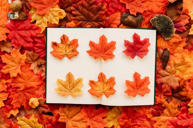 Flat lay with composition of border and fall leaves inside 