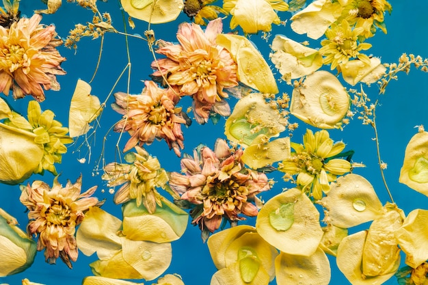 Free photo flat lay yellow flowers in blue water