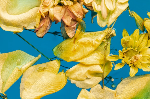 Free photo flat lay yellow flowers and petals in water