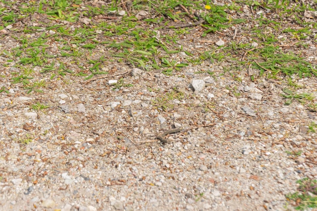 Floor with stones and a bit of grass