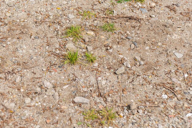 Floor with stones and a bit of grass