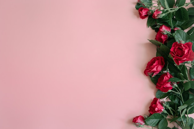 Free photo floral arrangement with fresh red roses on pink surface copy space