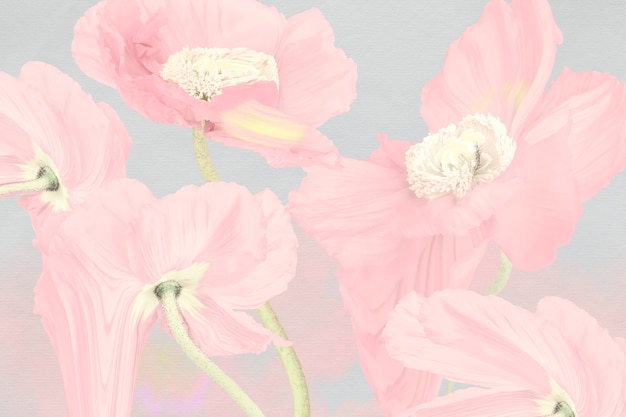 Free Photo floral background, pink poppy psychedelic art