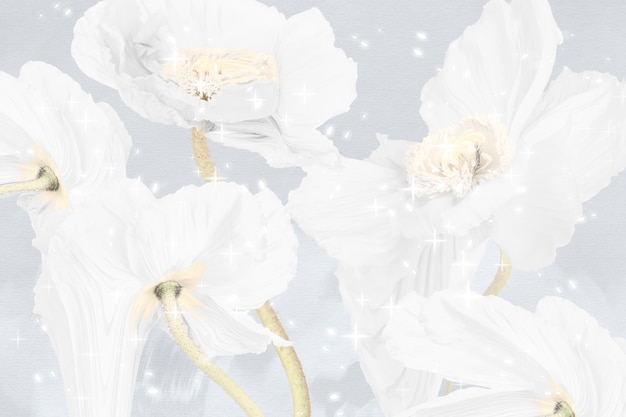 Free photo floral background, white poppy abstract art