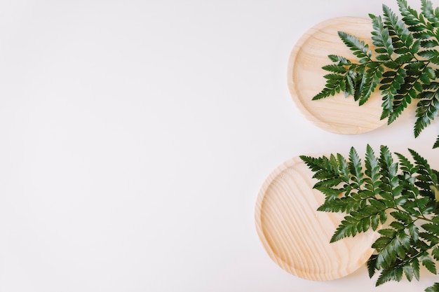 Free photo floral composition with bowls and space on left