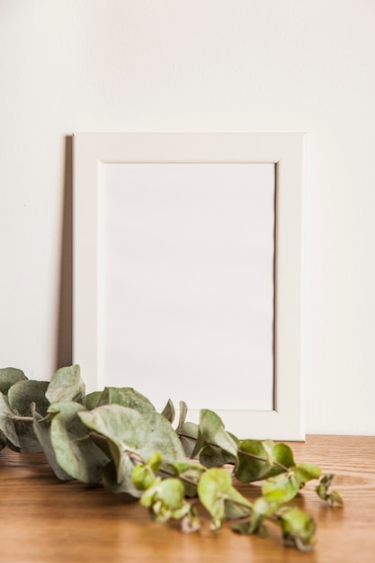 Free Photo floral composition with frame and leaves