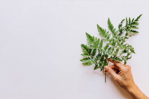 Floral composition with hand and leaves