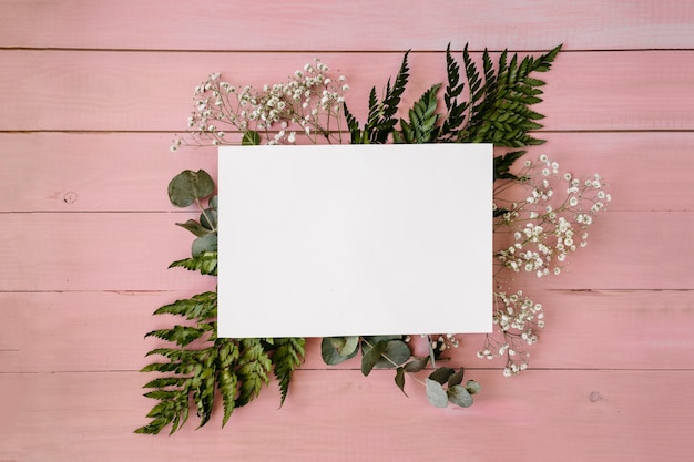 Floral composition with template and pink background