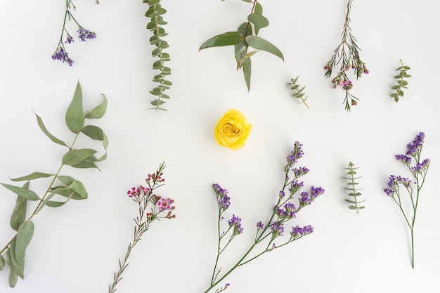 Floral composition with yellow flower