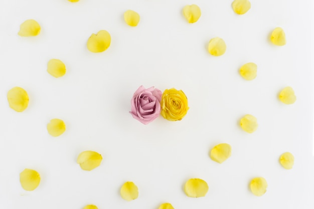 Free Photo floral composition with yellow petals