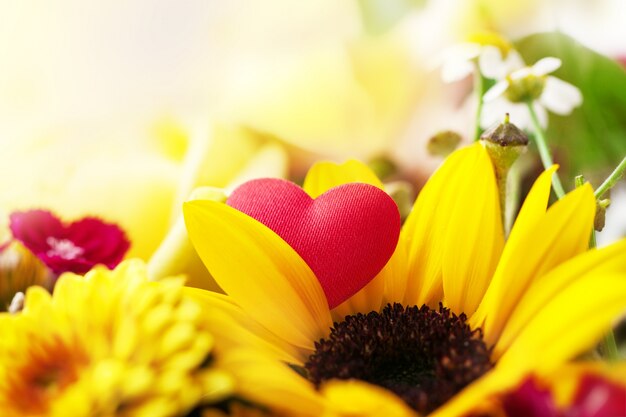 floral flower botany blossom background