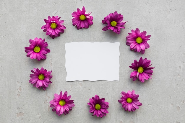 Free Photo floral frame with blank paper sheet