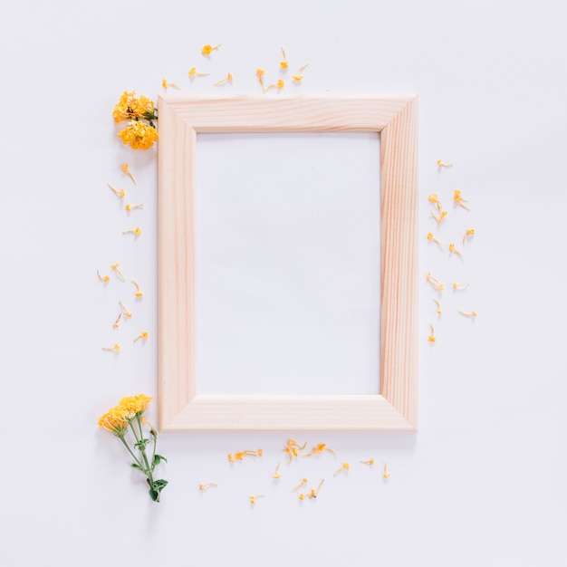 Free photo floral frame