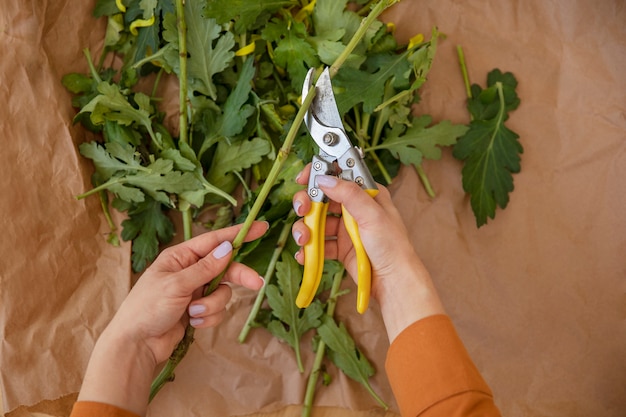 Free photo florist cutting off flower parts