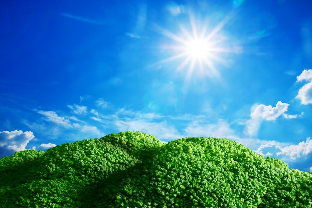 Flourishing vegetation on a sunny day