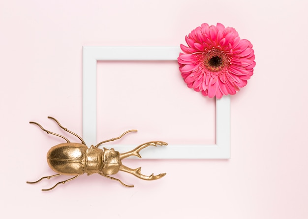 Free photo flower, beetle and frame