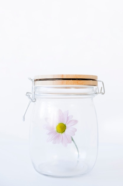 Free photo flower in closed glass