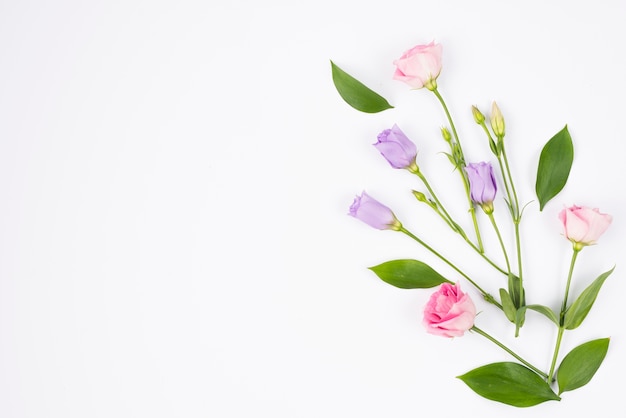 Flower composition in pastel colours