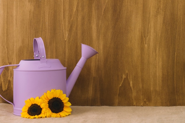 Free photo flower composition with sunflowers and watering can