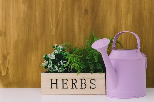 Free photo flower composition with watering can