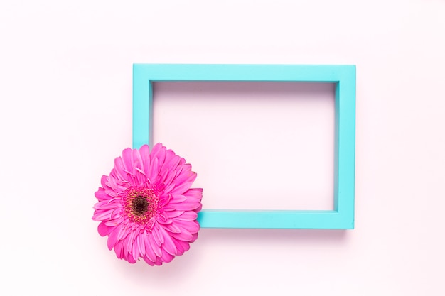 Flower and frame