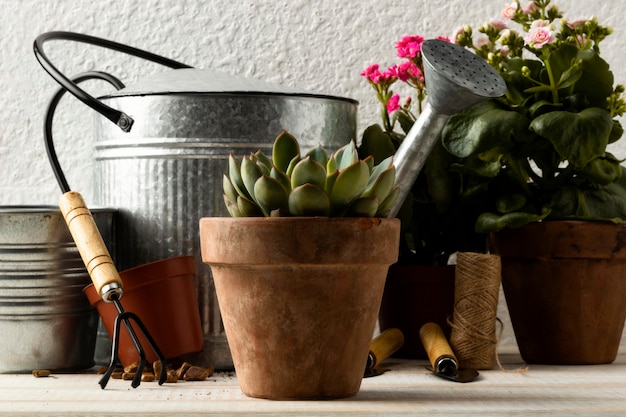 Free photo flower pots and watering can