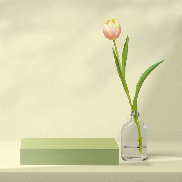 Free photo flower product backdrop with tulip in green