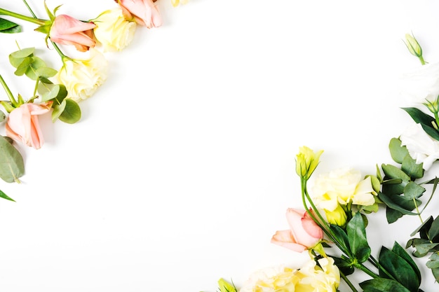 Flower of roses on white background