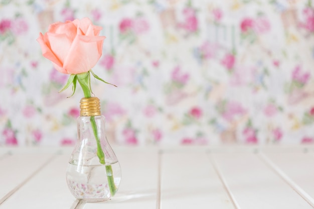 Free Photo flower in a vase with bulb-shaped