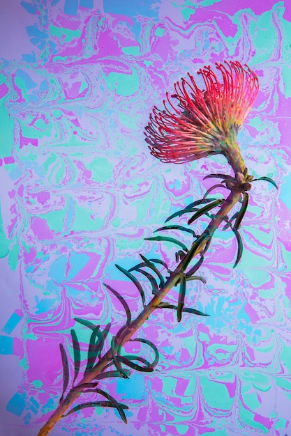 Free Photo flower with psychedelic painting