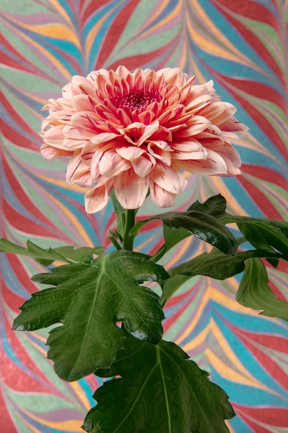 Free Photo flower with psychedelic painting